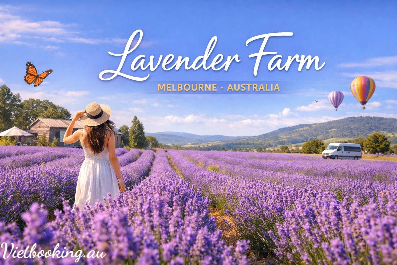 Lavender Farm tại Melbourne – Cánh đồng tím mộng mơ của nước Úc