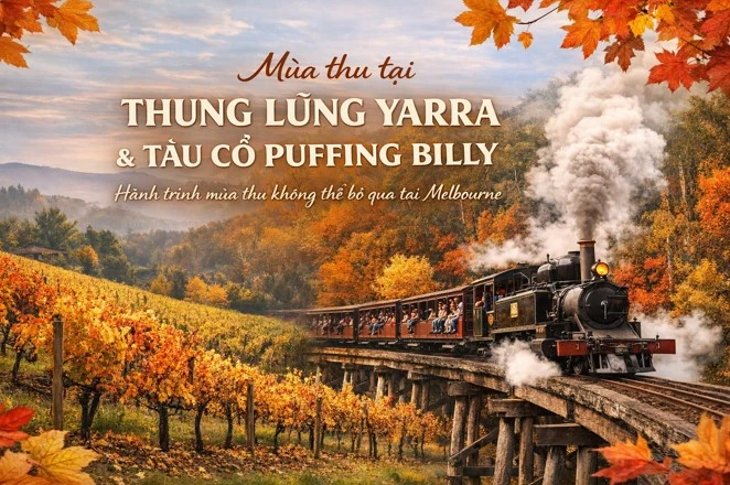 Mùa thu Yarra Valley & Puffing Billy – Bản giao hưởng “chuyển giao mùa” đầy mê hoặc