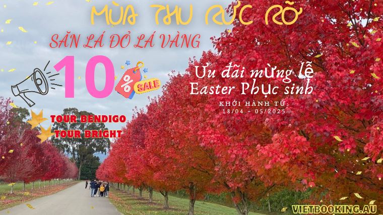 Mùa Thu Rực Rỡ - Săn Lá Đỏ Vàng cùng Vietbooking