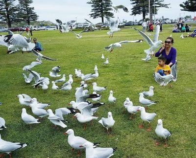 Khám Phá Adelaide phần 2