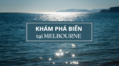 Việt booking - VietBooking - Vbooking - Yêu Biển - Khám Phá Các Bãi Biển Đẹp Tại Melbourne