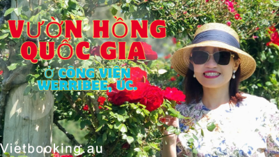 Việt booking - VietBooking - Vbooking - Lịch Sử và Vẻ Đẹp Hấp Dẫn của Vườn Hồng Quốc Gia Úc tại Werribee Park