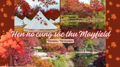 Mùa thu Mayfield – Hẹn hò với thiên nhiên trong sắc lá vàng