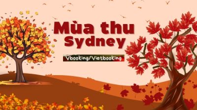 Mùa Thu Sydney – 3 Tour Mùa Thu Đẹp Nhất Định Phải Trải Nghiệm