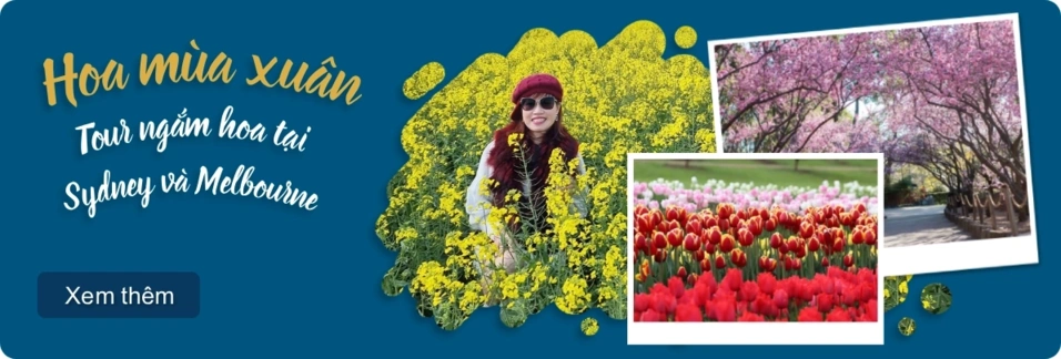 Tour Xuân