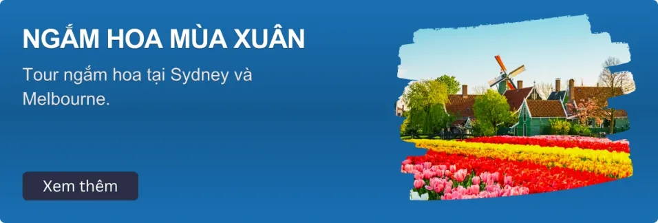 Tour Mùa Xuân