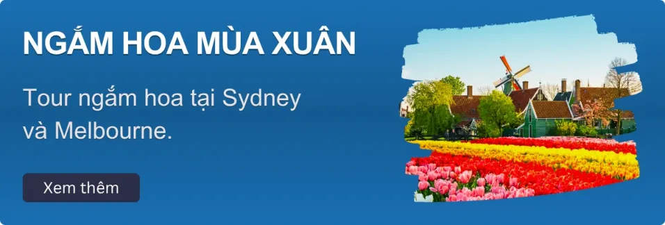 Tour Xuân