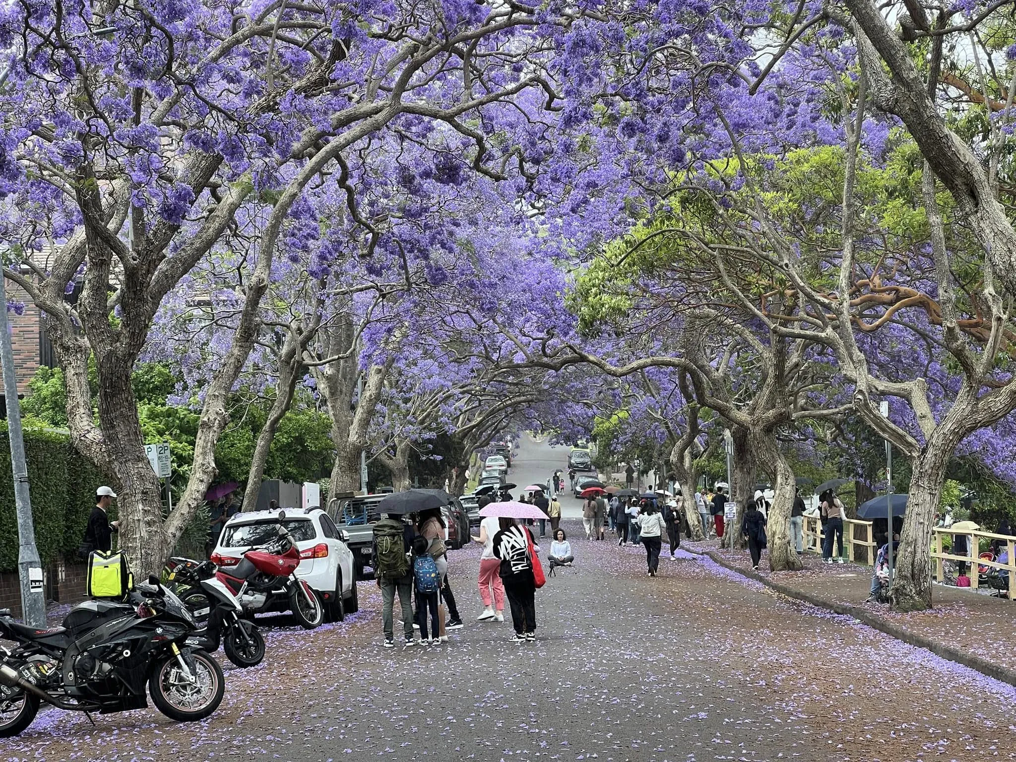 467962415_10160621216616451_2267112025045449168_n-2048x1536.webp (1.09 MB)