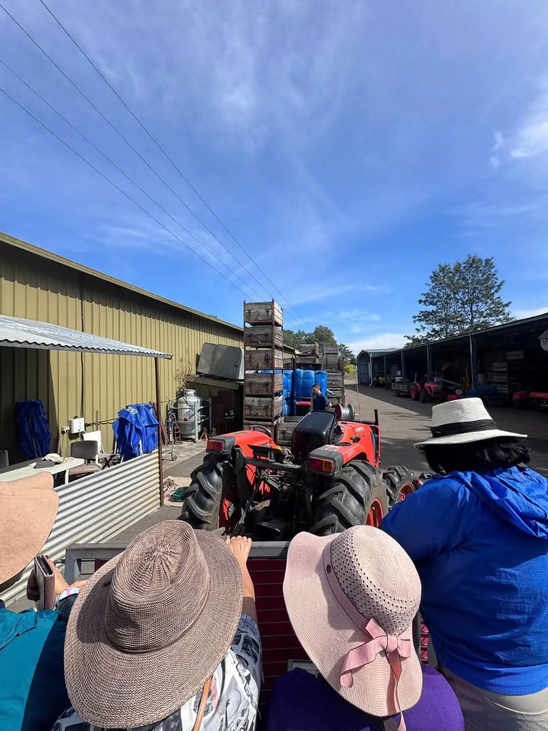 19e7e2476279d027896820-1080x1440.webp (197 KB)