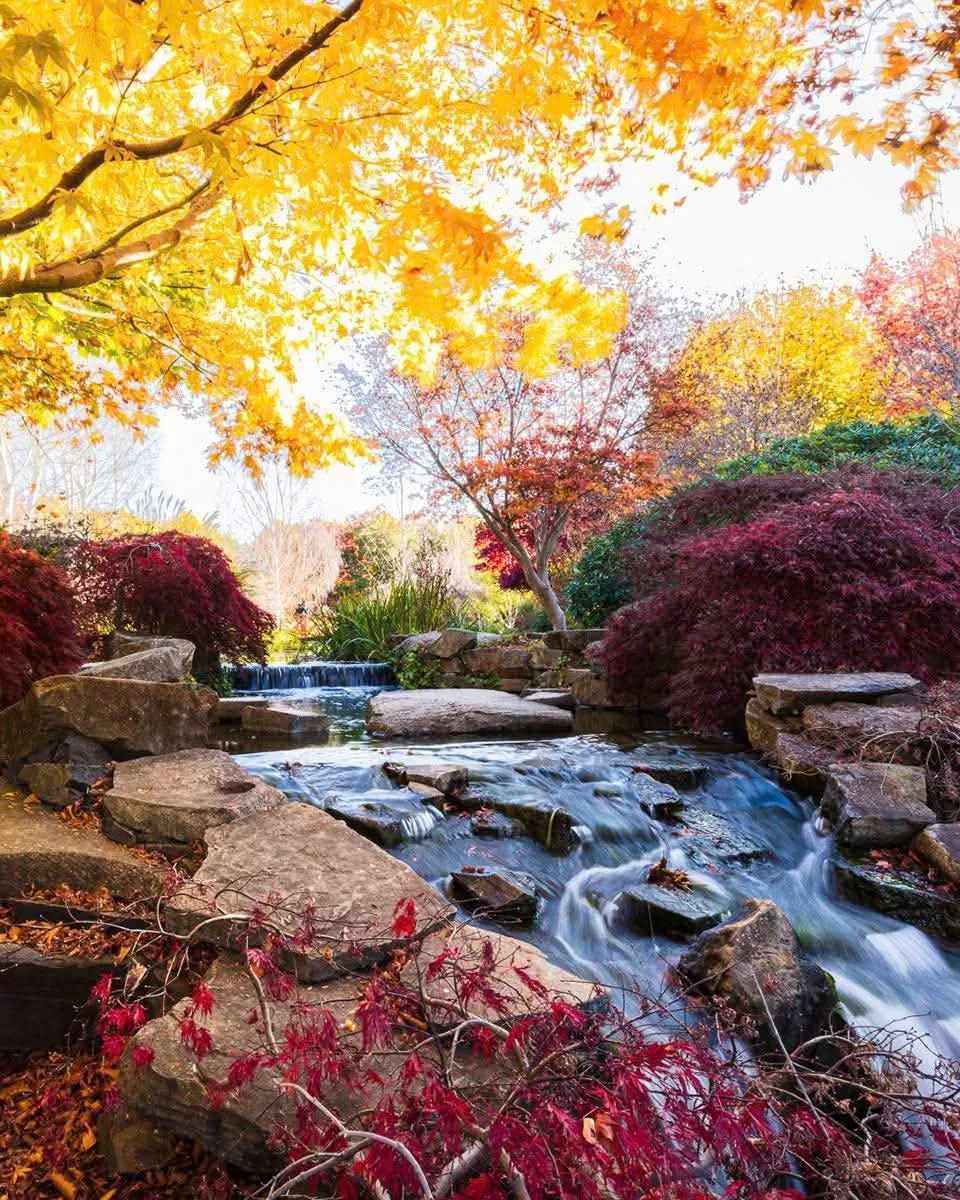 f0776448e57657280e6711-960x1200.webp (284 KB)