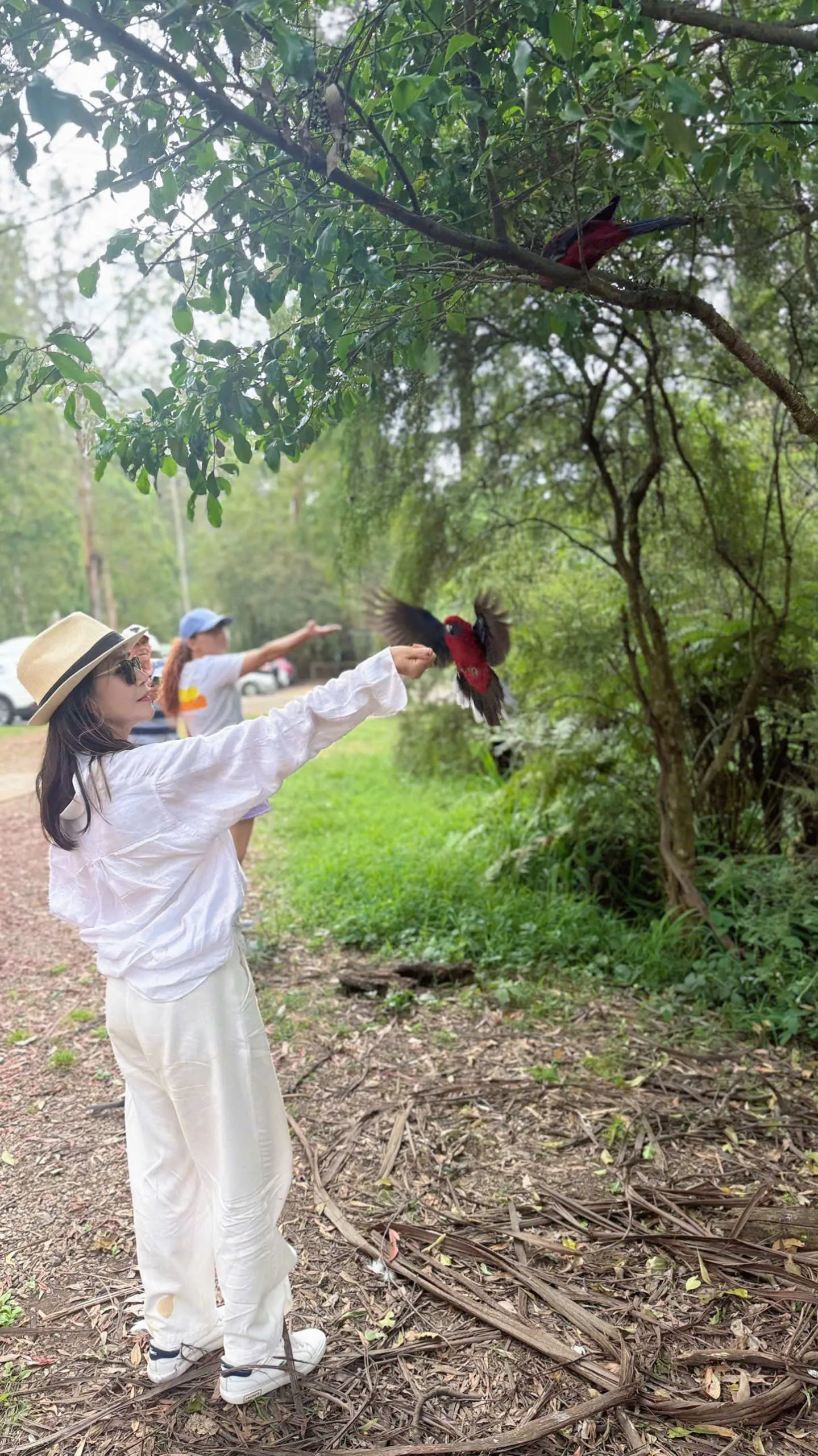 60257773650739643930-1439x2560.webp (500 KB)