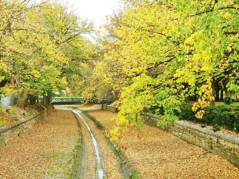 9c67c28dd41a66443f0b9-1773115361.webp (227 KB)