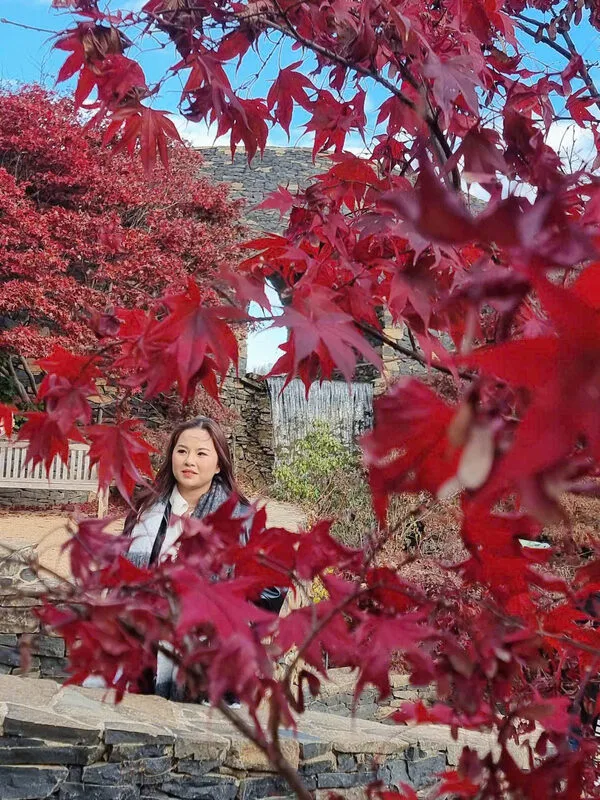 18939980c9a07cfe25b123-1775017708.webp (139 KB)