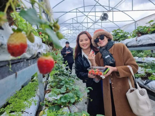 250818-172617-530x398.webp (43 KB)