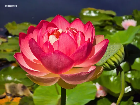 260122-161256-582x439.webp (28 KB)