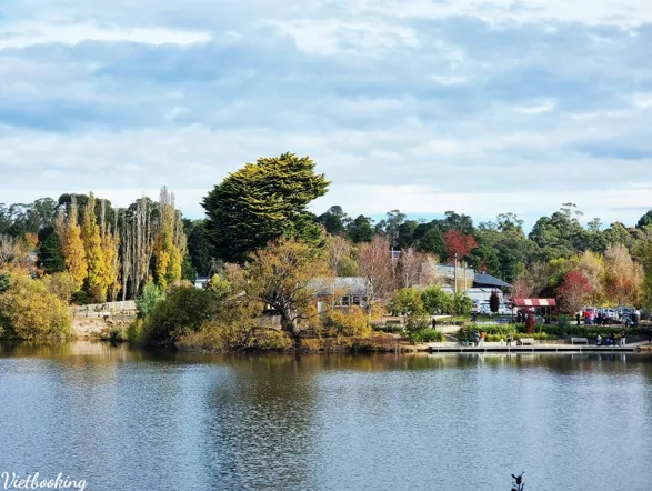 260316-161335-1773652418.webp (56 KB)