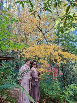 260401-105635-1775015797.webp (58 KB)