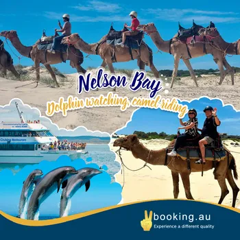 Nelson Bay – Camel Riding & Dolphin Watching