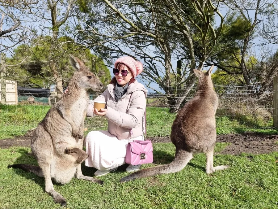 item image 50 album của tour Phillip Island VIP tour