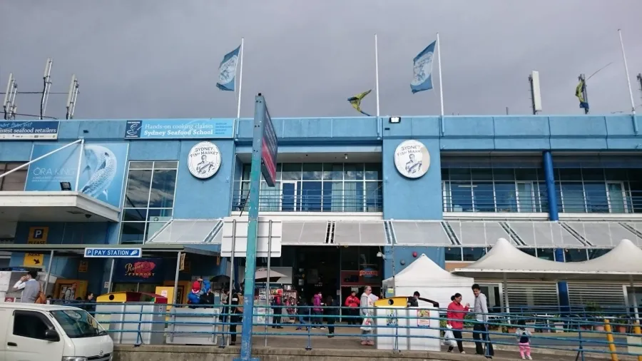 album của tour