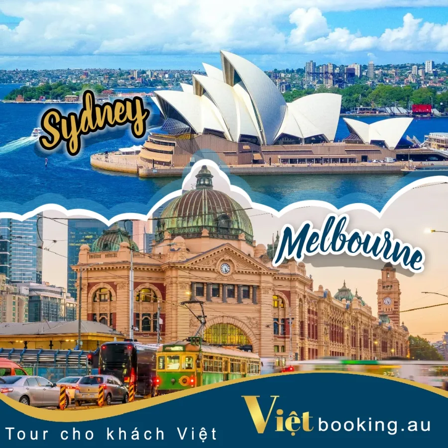 album của tour