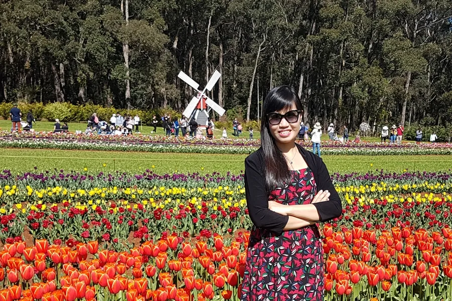 album của tour
