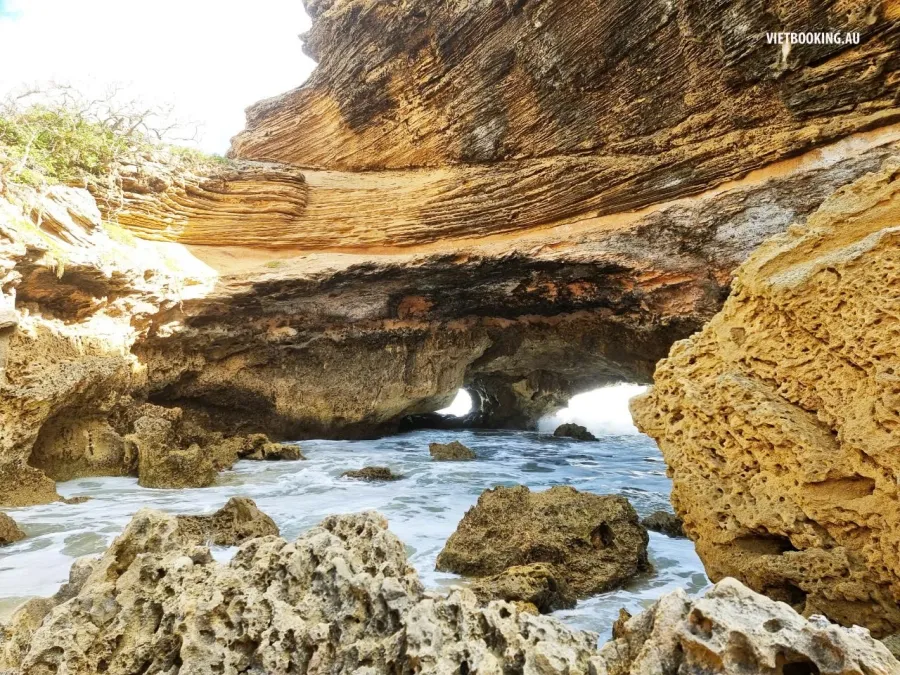 album của tour