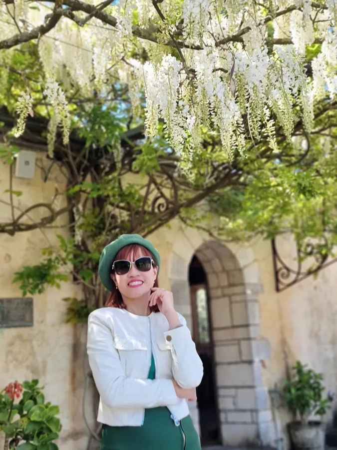 album của tour