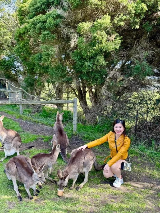 item image 170 album của tour Phillip Island VIP tour