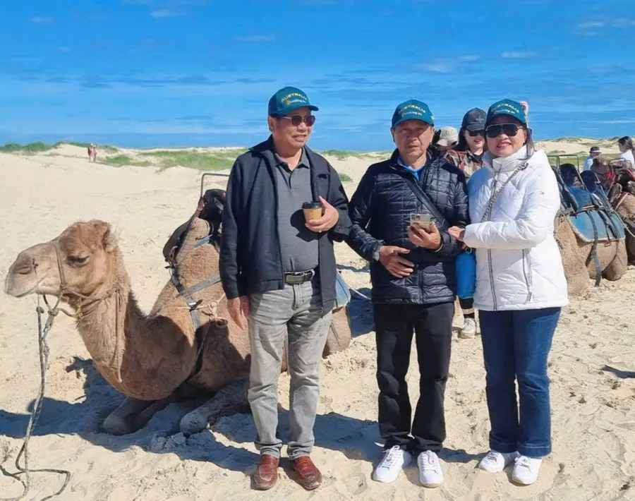 item image 329 album của tour Dolphin Watching – Camel Riding – Nelson Bay