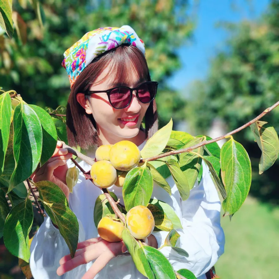 item image 312 album của tour Autumn Leaves of Bright Town