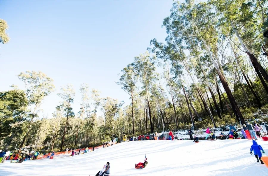 item image 372 album của tour Hot Air Balloon, Snowy Forest Canberra