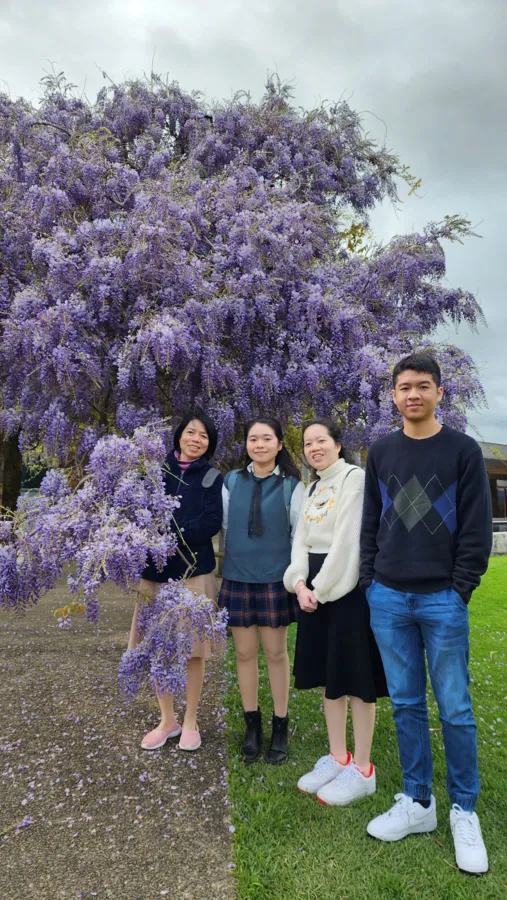item image 384 album của tour Cherry farm và Lavender flower