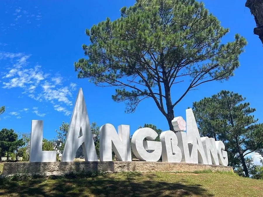 item image 446 album của tour Da Lat – Nha Trang 5 Days 4 Nights Tour