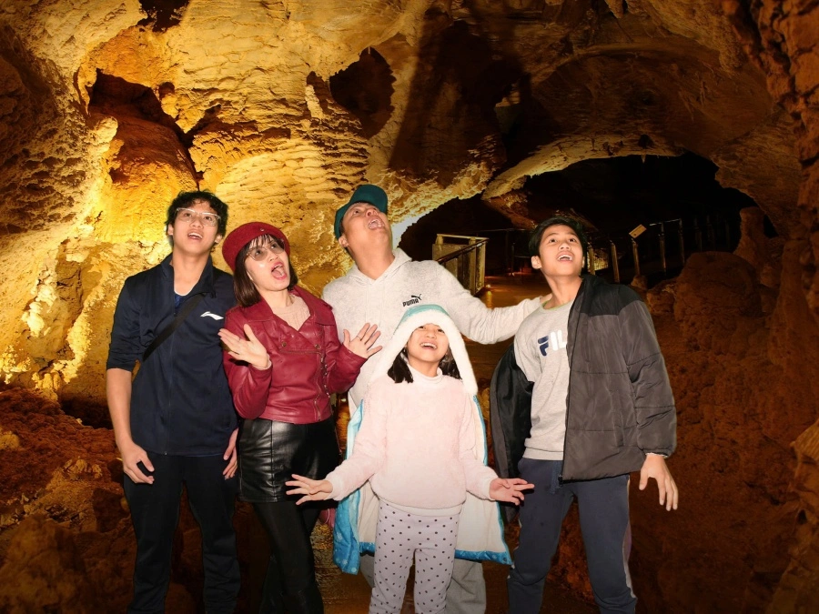 item image 516 album của tour Auckland 4 Days 3 Nights