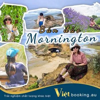 Bán đảo Mornington