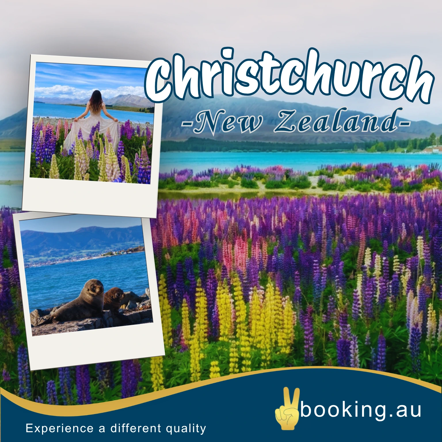 Christchurch - New Zealand
