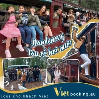 Nông trang Yarra valley và tàu cổ Puffing Billing